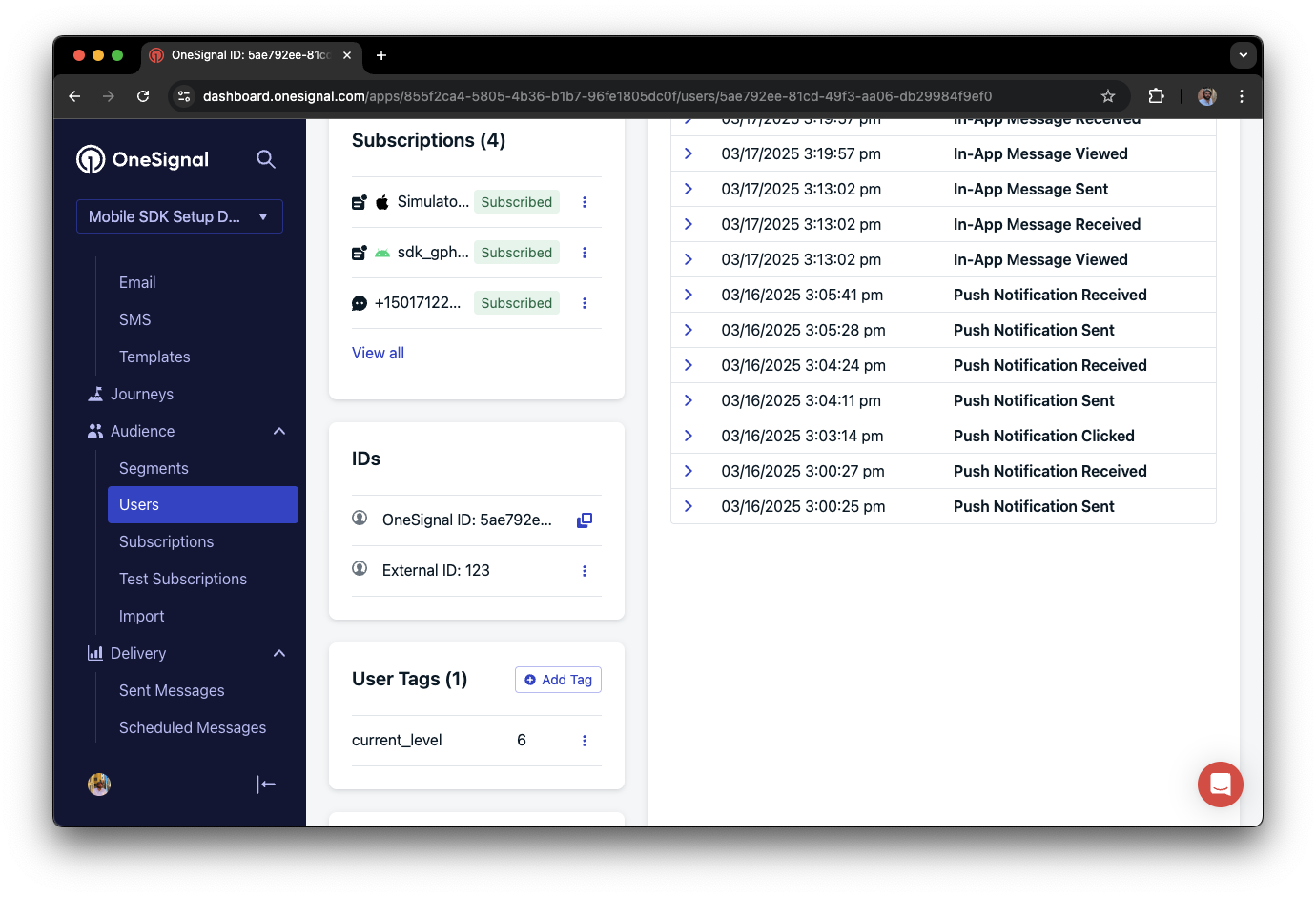 A user profile in OneSignal with a tag called "current_level" set to "6"